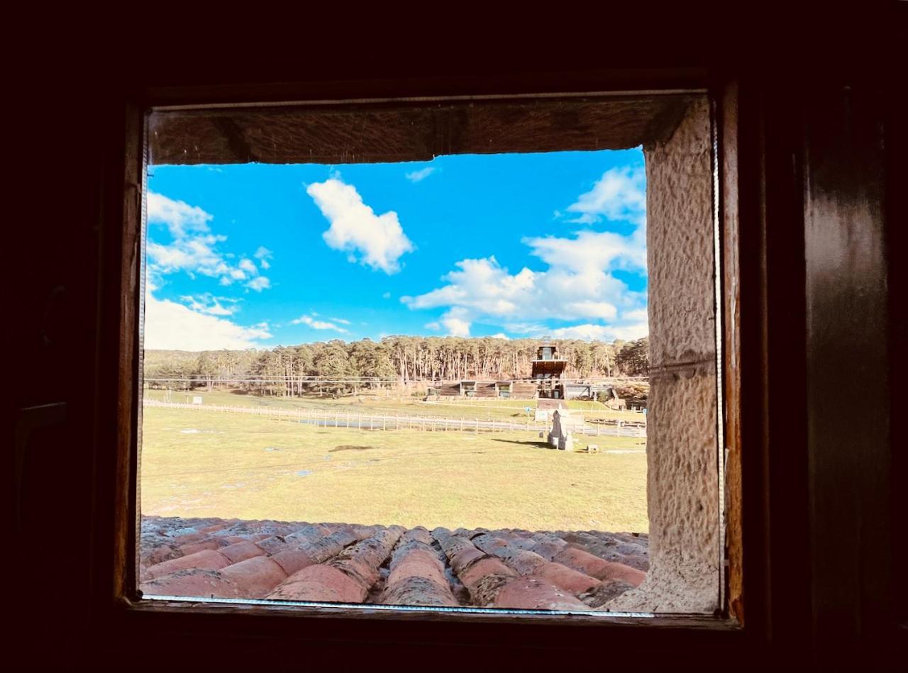 Albergue Pinares - La Casona De Revenga Регумьель-де-ла-Сьерра Экстерьер фото